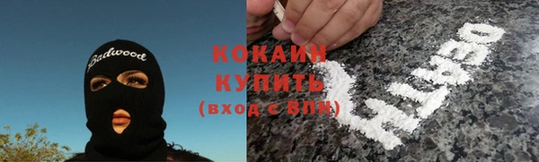 индика Алексин