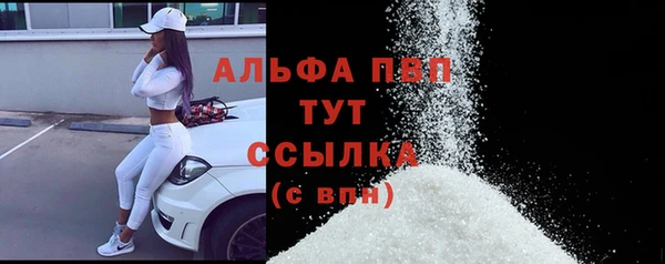 индика Алексин