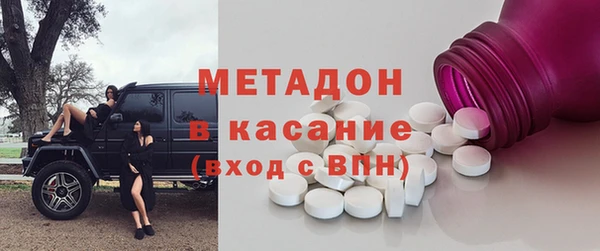индика Алексин
