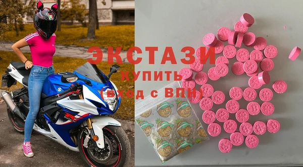 индика Алексин