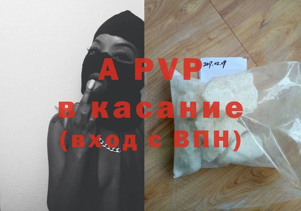 индика Алексин
