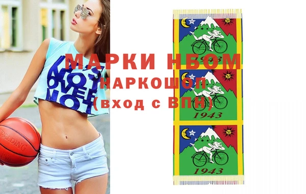 индика Алексин