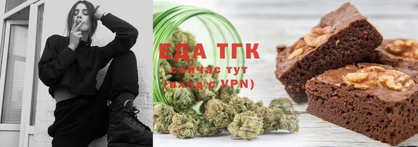 индика Алексин